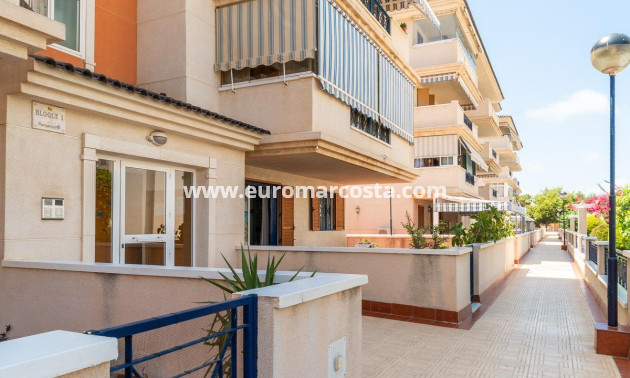 Alquiler a largo plazo - Apartamento / piso - Torrevieja - La Mata