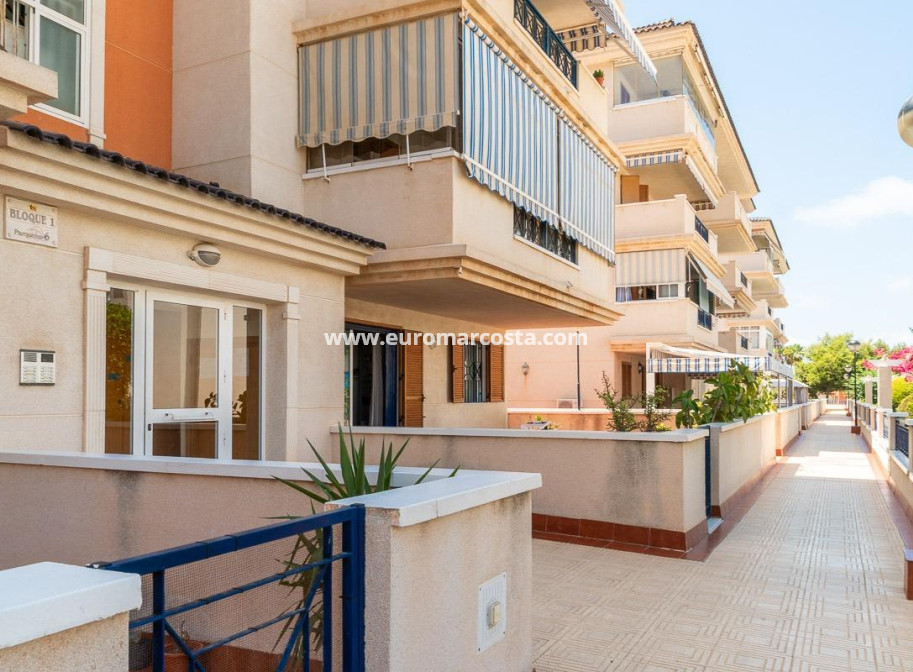 Alquiler a largo plazo - Apartamento / piso - Torrevieja - La Mata