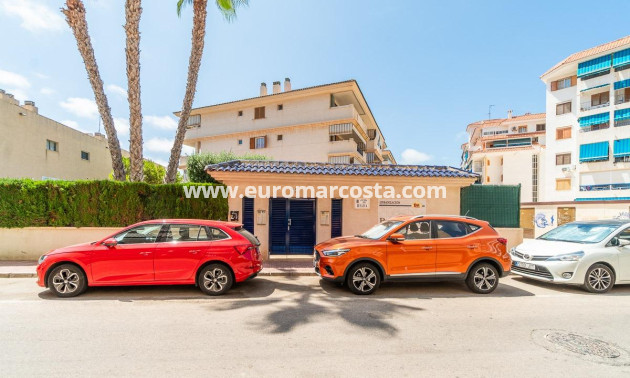 Alquiler a largo plazo - Apartamento / piso - Torrevieja - La Mata