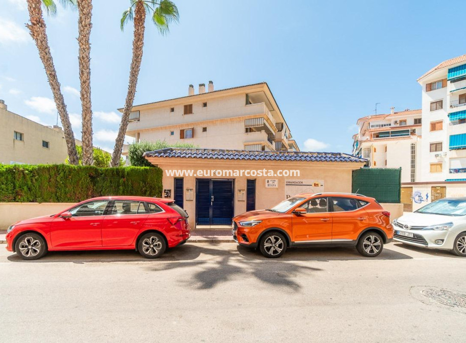 Alquiler a largo plazo - Apartamento / piso - Torrevieja - La Mata