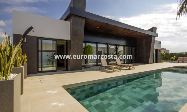 Nueva construcción  - Villa - Ciudad Quesada