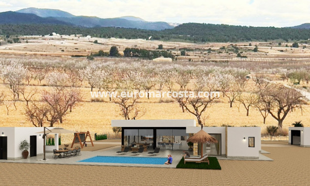 New Build - detached - Pinoso
