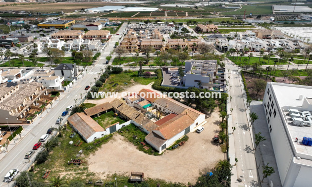 Nueva construcción  - low-bungalow - Pilar de la Horadada