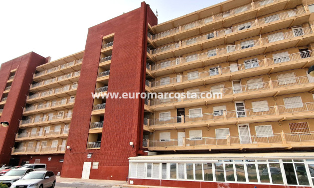 Sale - Apartment / flat - Torrevieja - TORREVIEJA