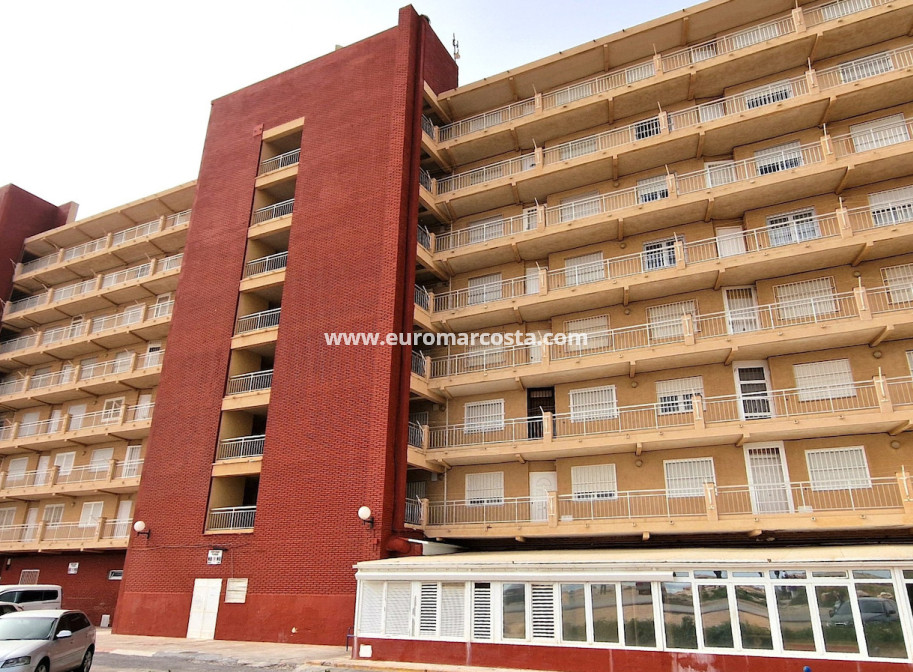 Sale - Apartment / flat - Torrevieja - TORREVIEJA