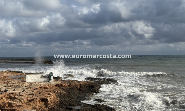 Sale - Apartment / flat - Torrevieja - TORREVIEJA