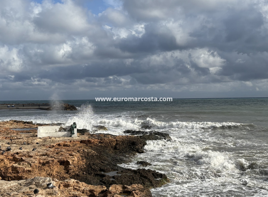 Sale - Apartment / flat - Torrevieja - TORREVIEJA