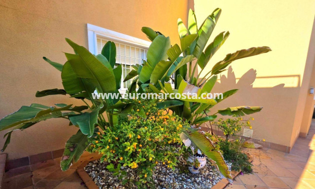 Venta - Villa - Orihuela Costa - Campoamor