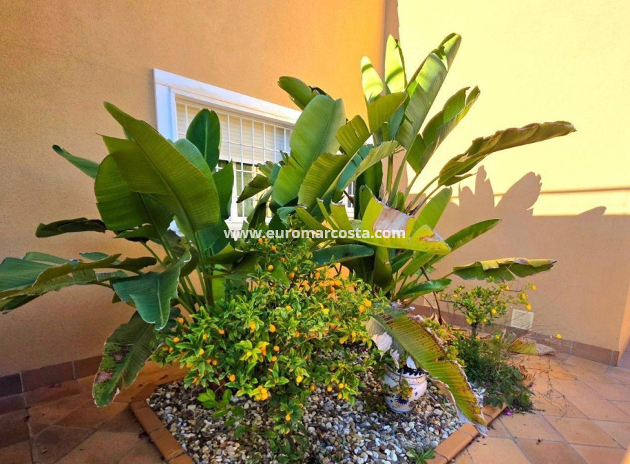 Venta - Villa - Orihuela Costa - Campoamor