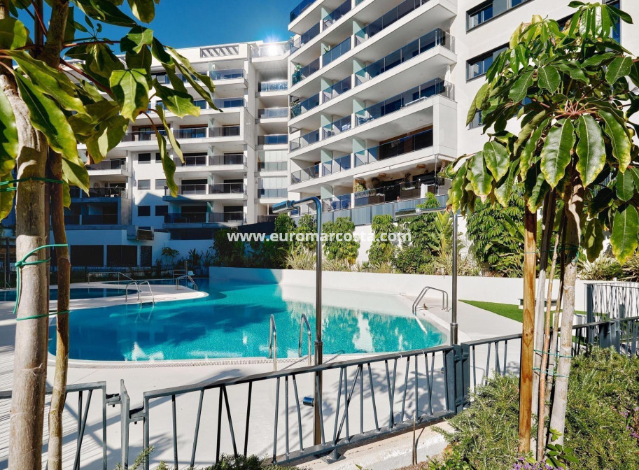 Venta - Apartamento / piso - Orihuela Costa - Campoamor