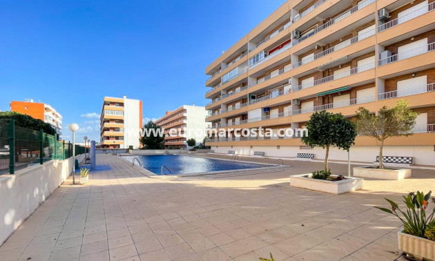 Objekte zum Wiederverkauf - Wohnung - Torrevieja - TORREVIEJA
