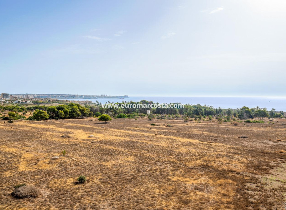 Objekte zum Wiederverkauf - Wohnung - Torrevieja - TORREVIEJA