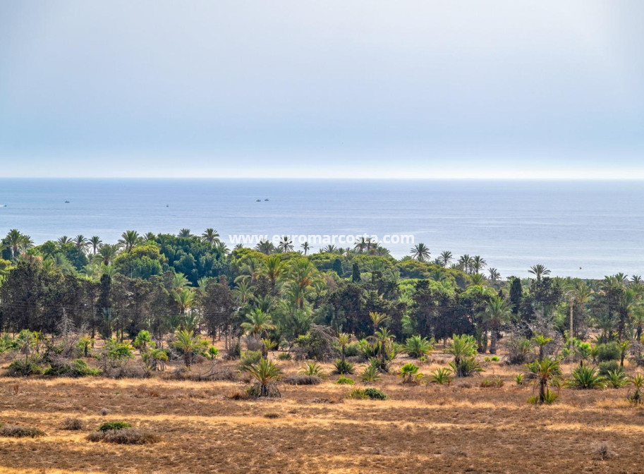 Objekte zum Wiederverkauf - Wohnung - Torrevieja - TORREVIEJA