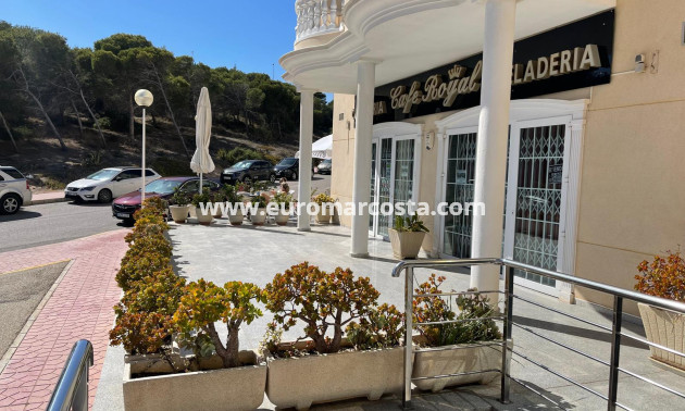 Venta - Comercial - Guardamar del Segura