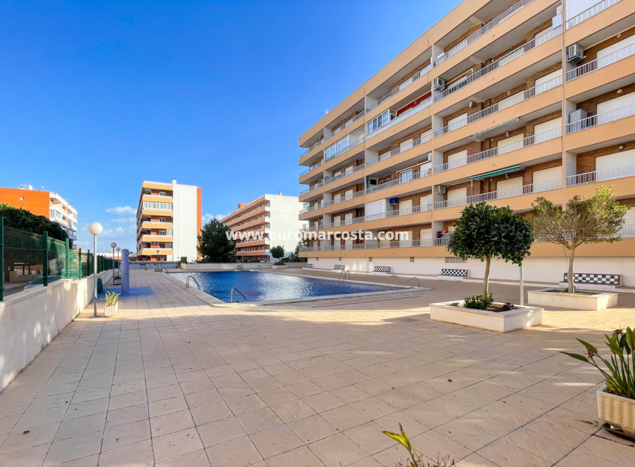 Objekte zum Wiederverkauf - - APARTMENT - Torrevieja - TORREVIEJA