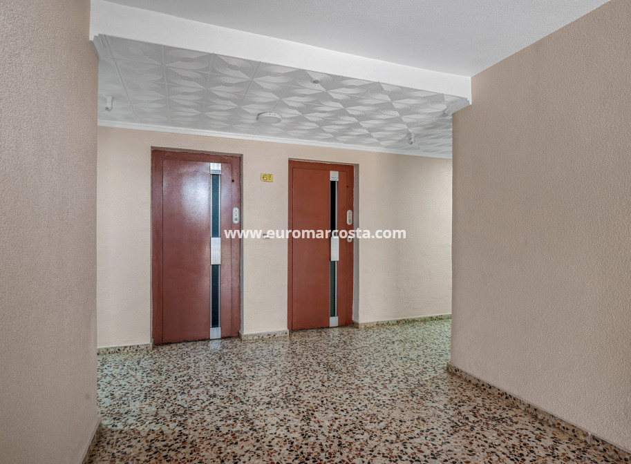 Objekte zum Wiederverkauf - - APARTMENT - Torrevieja - TORREVIEJA