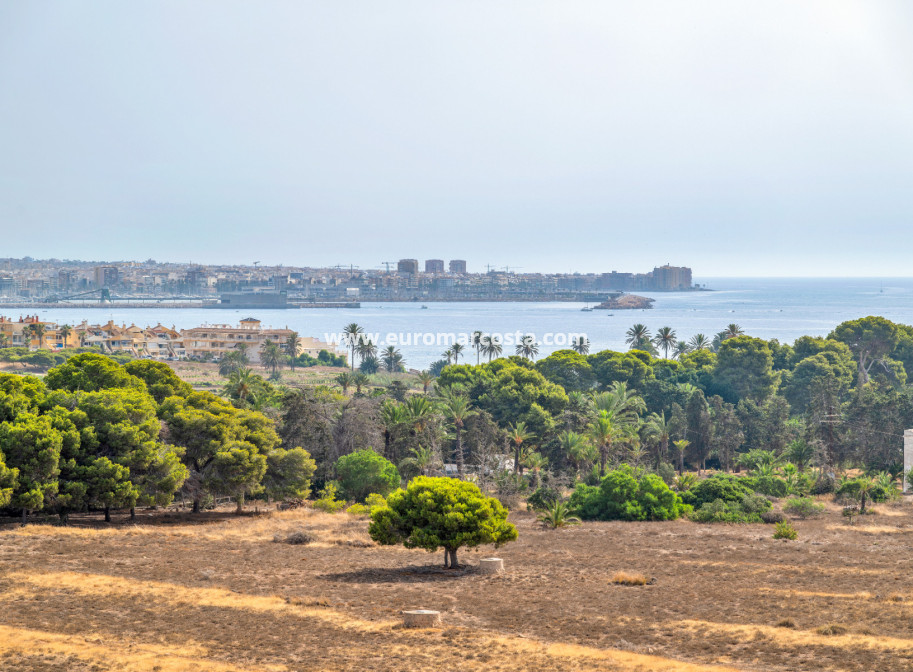 Objekte zum Wiederverkauf - - APARTMENT - Torrevieja - TORREVIEJA