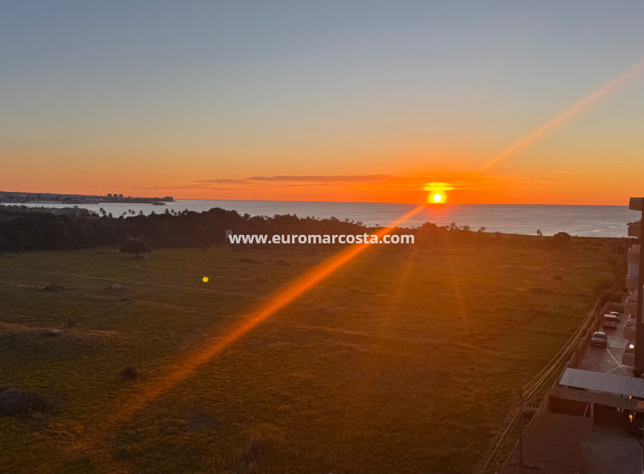 Objekte zum Wiederverkauf - - APARTMENT - Torrevieja - TORREVIEJA