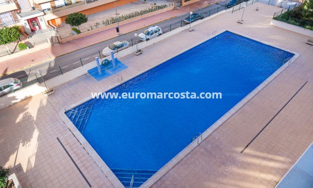 Objekte zum Wiederverkauf - - APARTMENT - Torrevieja - TORREVIEJA