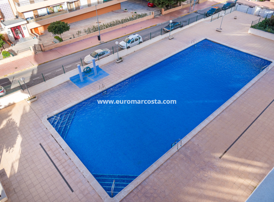 Objekte zum Wiederverkauf - - APARTMENT - Torrevieja - TORREVIEJA