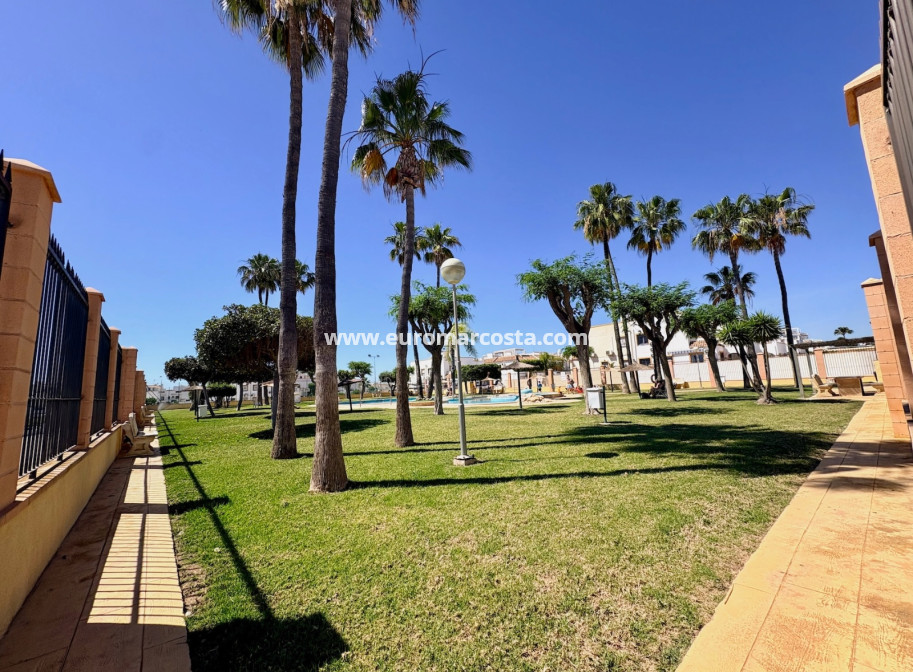 Sale - Apartment / flat - Orihuela Costa - Playa Flamenca