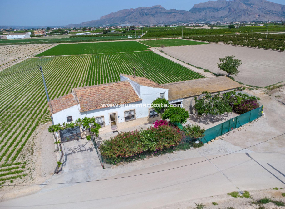 Sale - Country house - Orihuela - Desamparados-Hurchillo-Torremendo