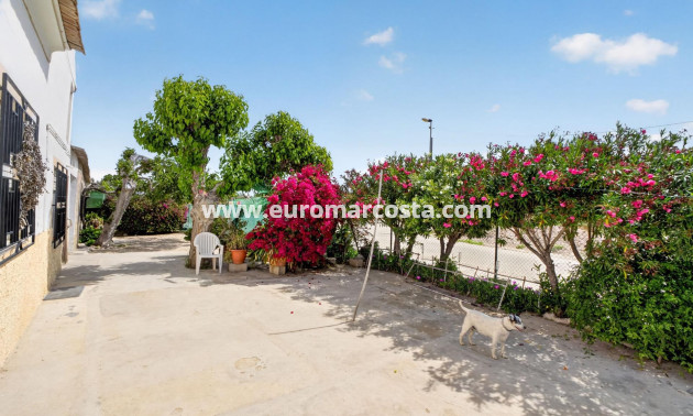 Sale - Country house - Orihuela - Desamparados-Hurchillo-Torremendo