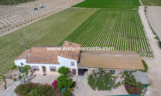 Sale - Country house - Orihuela - Desamparados-Hurchillo-Torremendo