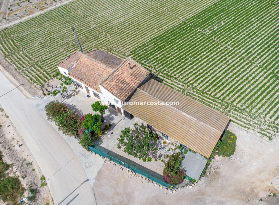 Sale - Country house - Orihuela - Desamparados-Hurchillo-Torremendo