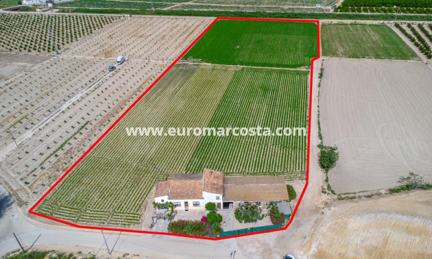 Sale - Country house - Orihuela - Desamparados-Hurchillo-Torremendo