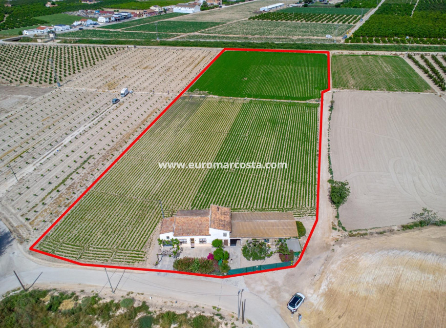 Sale - Country house - Orihuela - Desamparados-Hurchillo-Torremendo