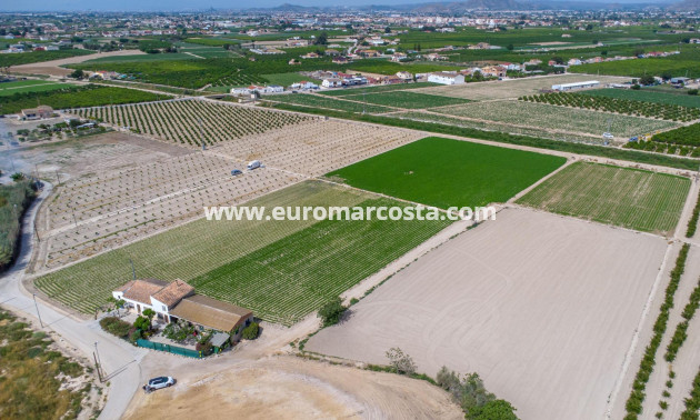 Sale - Country house - Orihuela - Desamparados-Hurchillo-Torremendo