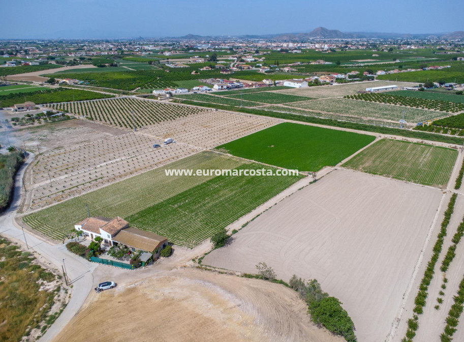 Sale - Country house - Orihuela - Desamparados-Hurchillo-Torremendo