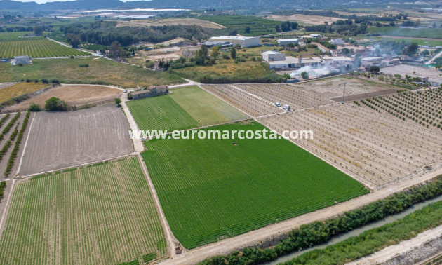 Sale - Country house - Orihuela - Desamparados-Hurchillo-Torremendo