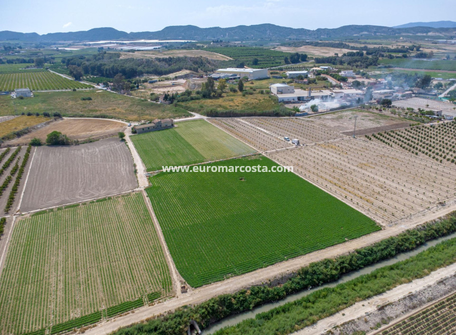 Sale - Country house - Orihuela - Desamparados-Hurchillo-Torremendo