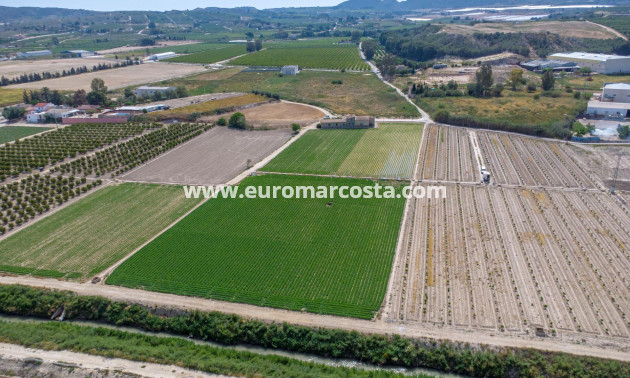 Sale - Country house - Orihuela - Desamparados-Hurchillo-Torremendo