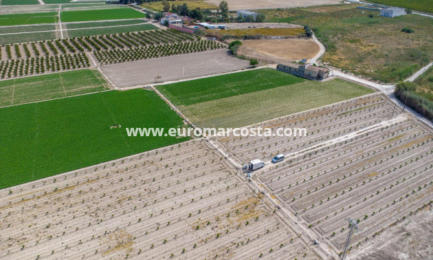 Sale - Country house - Orihuela - Desamparados-Hurchillo-Torremendo