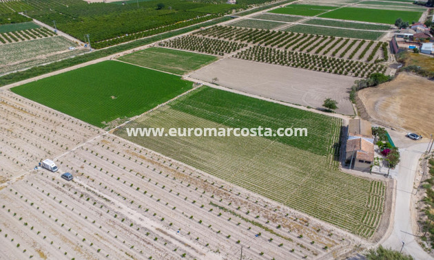 Sale - Country house - Orihuela - Desamparados-Hurchillo-Torremendo