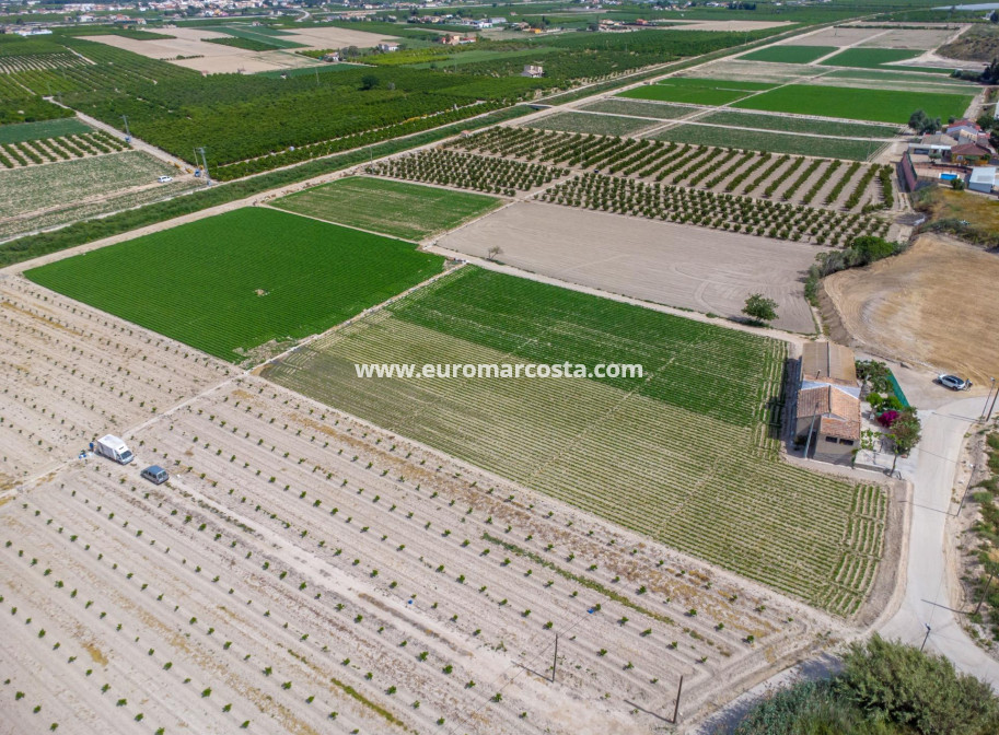 Sale - Country house - Orihuela - Desamparados-Hurchillo-Torremendo