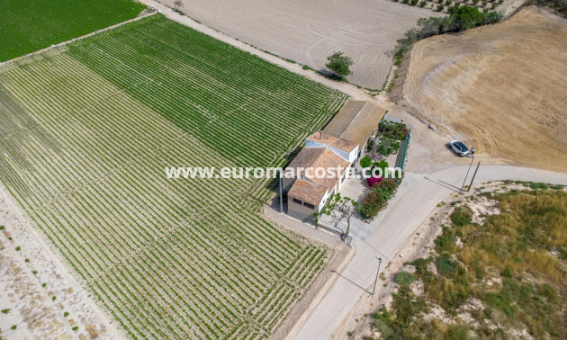Sale - Country house - Orihuela - Desamparados-Hurchillo-Torremendo