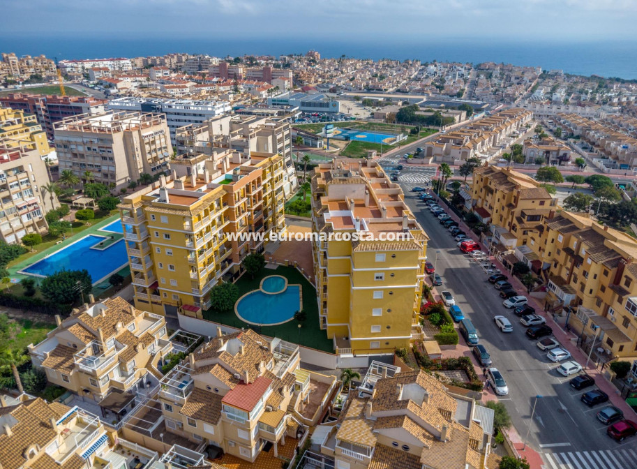 Venta - Ático - Torrevieja - TORREVIEJA