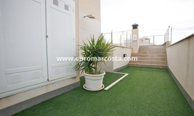 Venta - Ático - Torrevieja - TORREVIEJA