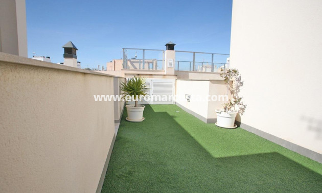 Venta - Ático - Torrevieja - TORREVIEJA
