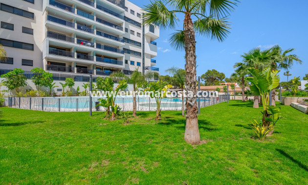 Objekte zum Wiederverkauf - Apartments - Orihuela Costa