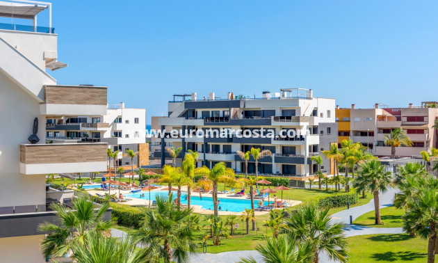 Venta - Apartments - Orihuela Costa - Playa Flamenca