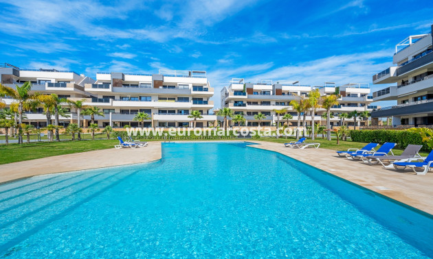 Venta - Apartments - Orihuela Costa - Playa Flamenca