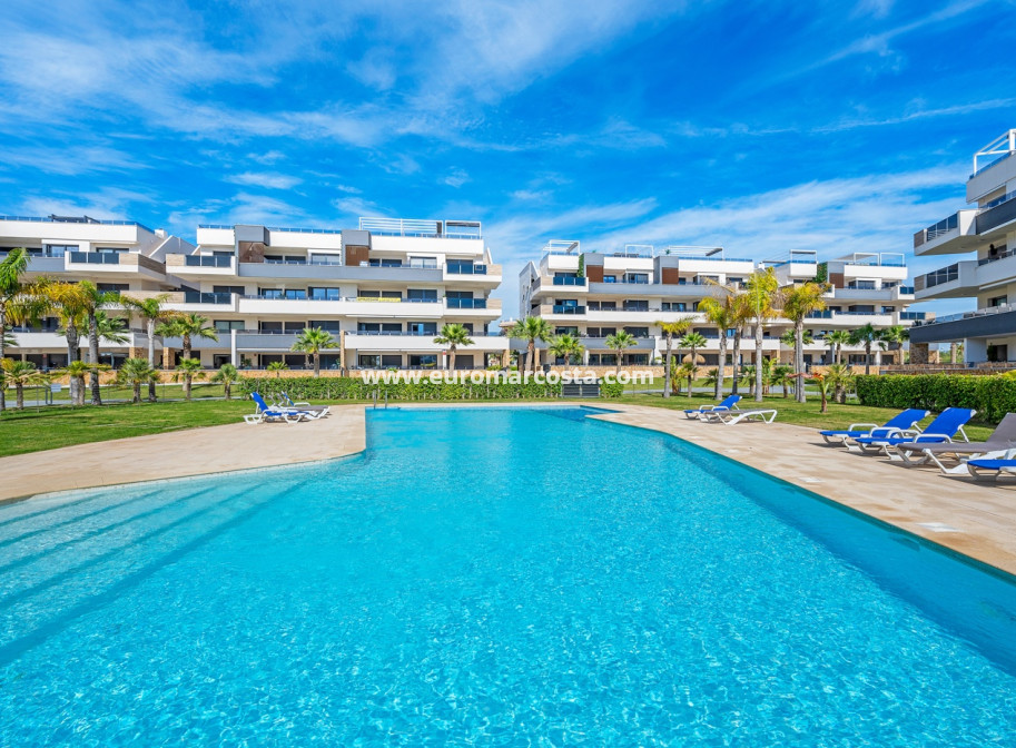 Venta - Apartments - Orihuela Costa - Playa Flamenca