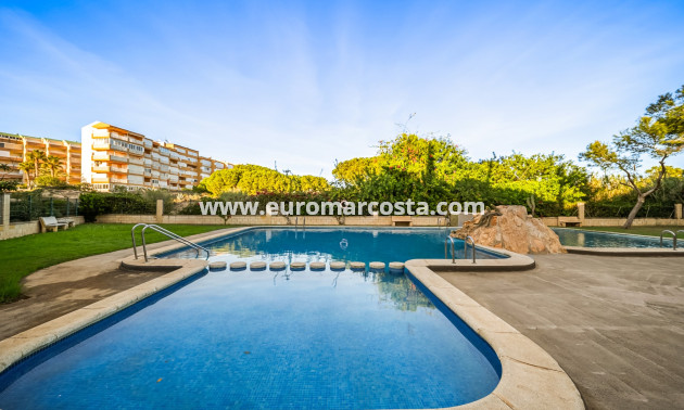 Venta - Apartments - Torrevieja - La Mata