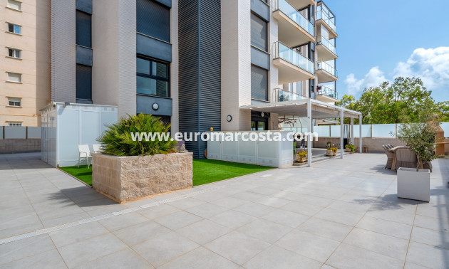 Venta - Apartments - Guardamar del Segura - Guardamar