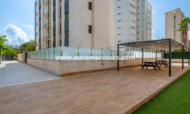 Venta - Apartments - Guardamar del Segura - Guardamar